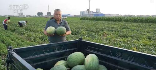 吃瓜买大平层,吃瓜群众如何通过投资大平层实现财富增值