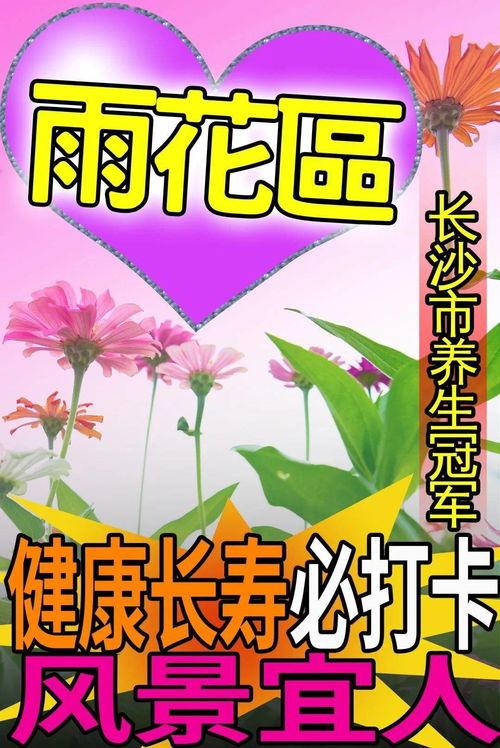 吃瓜劲爆标题,那些你不知道的劲爆幕后故事