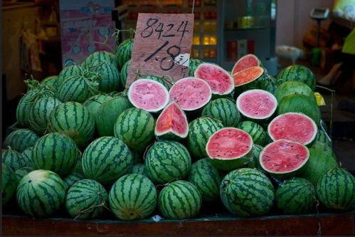 吃瓜群众大星,吃瓜群众的趣味生活与独特视角