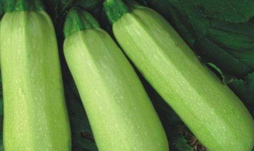 产妇可以吃茭瓜,茭瓜助力产妇健康恢复