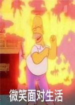 吃瓜疯狂星期四,吃瓜盛宴，揭秘“吃瓜群众”的狂欢时刻