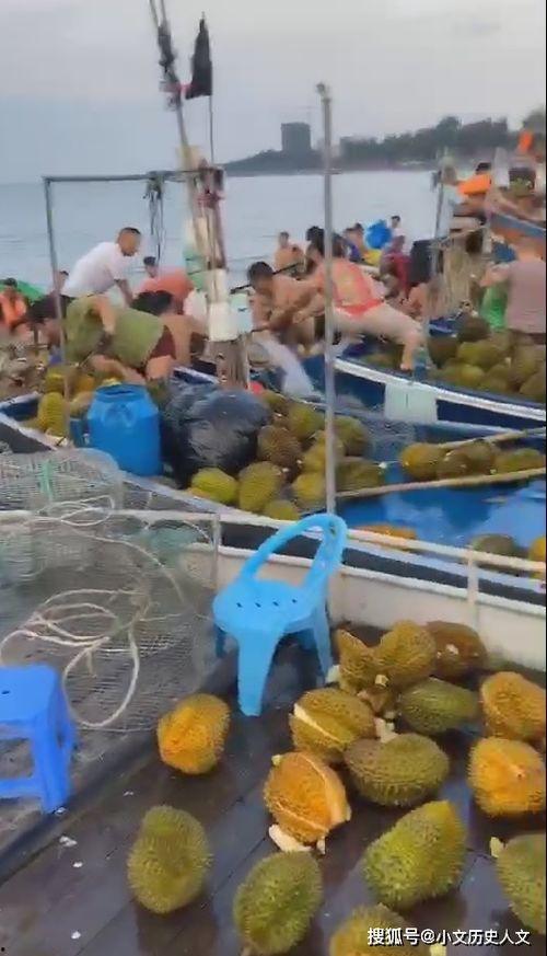 安船视频吃瓜,一场吃瓜群众的狂欢盛宴