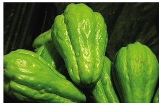 吃佛手瓜的文案,清新口感，养生新宠”