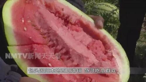 伊拉克老王吃瓜,吃瓜群众的视角看中东风云