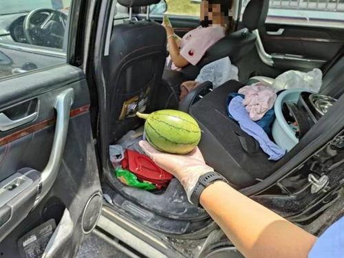 高速公路司机吃瓜