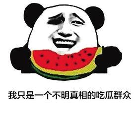 吃瓜之余搞笑视频,吃瓜视频里的欢乐时光