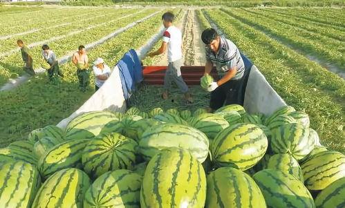 福州看轨迹吃瓜,吃瓜群众见证城市防疫智慧