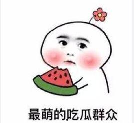 岳明辉吃瓜群众,吃瓜群众的视角解读娱乐圈风云