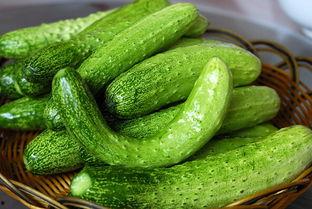 吃曲瓜,探寻传统佳肴的独特魅力