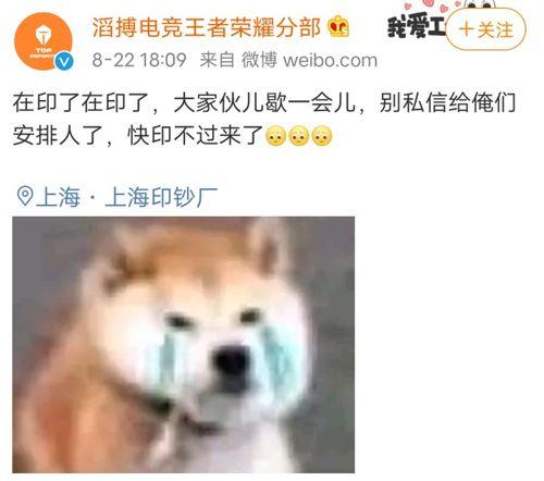 九尾喜欢吃瓜,九尾妖狐的夏日瓜果盛宴