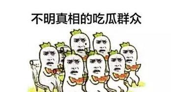 吃瓜群众小网民,小网民的狂欢与反思
