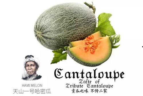 吃瓜号真假,真假难辨，真相究竟如何？