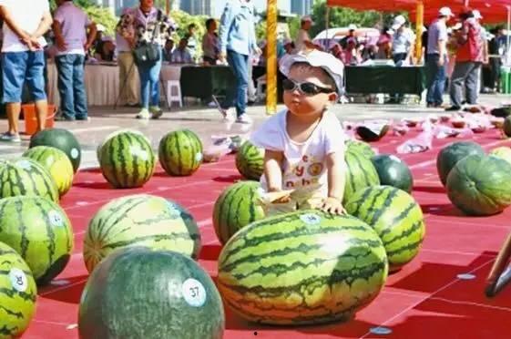 王大瓜吃西瓜,王大瓜的夏日西瓜盛宴