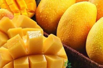 吃瓜的芒果君,揭秘娱乐圈那些事儿