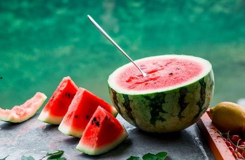 诗酒吃瓜,一场别开生面的田园诗会