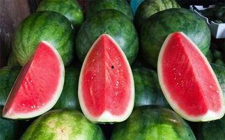 诗酒吃瓜,一场别开生面的田园诗会