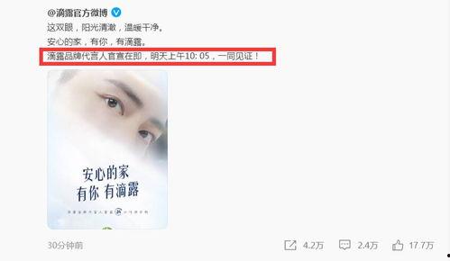 吃瓜立牌盗印,一场网络迷案的追踪与反思