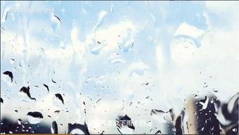 冲浪吃瓜vlog,畅游Vlog世界