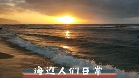 冲浪吃瓜vlog,畅游Vlog世界