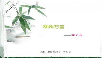 柳州吃瓜ppt,一场味蕾的“吃瓜”盛宴