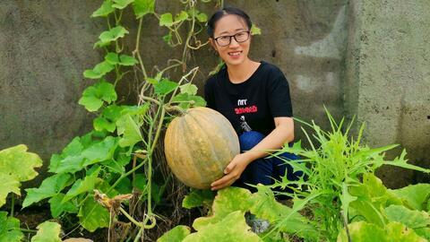 清溟吃瓜,揭秘娱乐圈背后的那些事儿