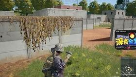 探长吃瓜鲁班解说,揭秘鲁班背后的神秘故事