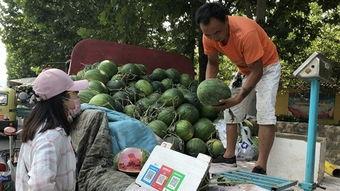 济宁人吃瓜,探寻当地独特的吃瓜文化