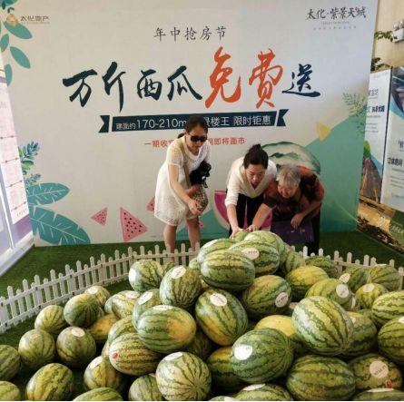 爆总吃瓜,揭秘娱乐圈幕后真相