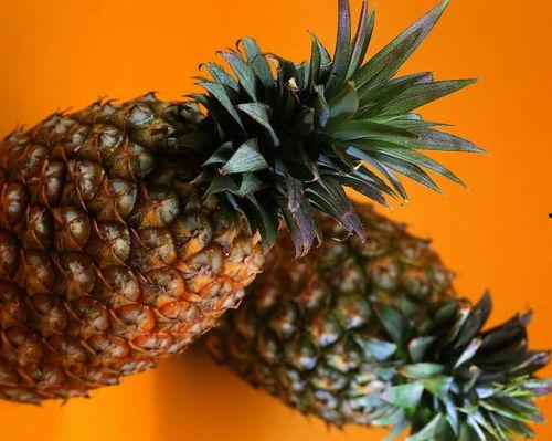 fruit吃瓜下载,瓜果乐园的便捷入口