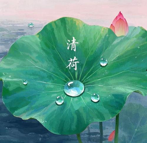 治愈系头像吃瓜,吃瓜群众的甜蜜解压神器