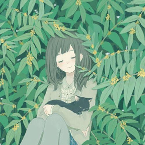 治愈系头像吃瓜,吃瓜群众的甜蜜解压神器