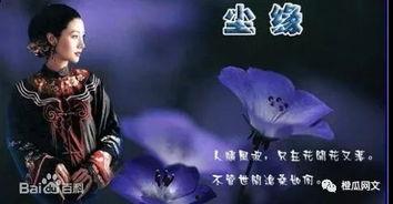 仙侠吃瓜小说,吃瓜群众揭秘仙侠秘闻