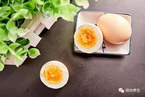 动物餐厅鸡蛋吃瓜,鸡蛋与瓜果的欢乐盛宴