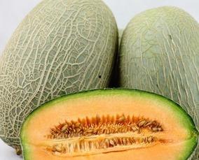 女的吃哈密瓜,女性品尝哈密瓜的惬意时光