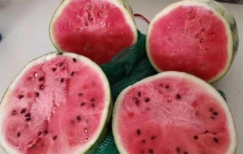 胃癌可以吃麒麟瓜吗,营养与健康的双重守护