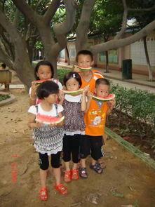 吃瓜饿观众,揭秘娱乐圈幕后真相，饿观众揭秘明星生活