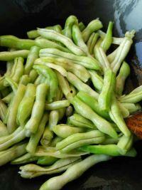 吃豆角煮小瓜好吗,豆角煮小瓜，营养搭配新选择