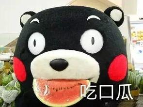 吃瓜配音歌曲有哪些,趣味横生的声音盛宴