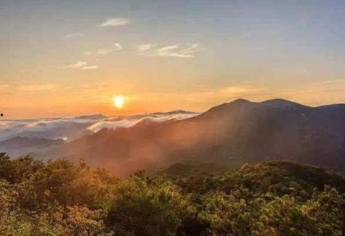 龙泉山吃瓜,吃瓜群众的欢乐时光