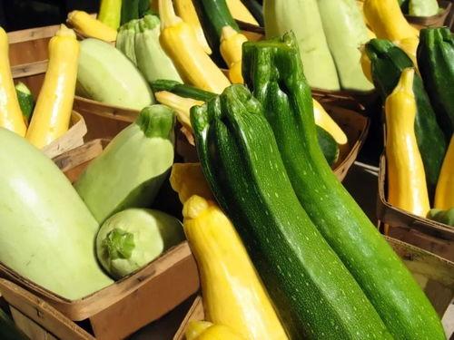 吃瓜 VTber,网络红人的幕后故事与影响力