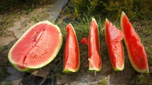 广德市吃瓜,瓜果飘香，品味夏日清凉