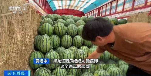 北联吃瓜,揭秘娱乐圈背后的那些事儿