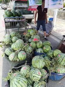 新的吃瓜事件,神秘事件背后真相揭秘