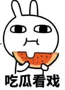 姐弟头像吃瓜图片可爱,姐弟俩可爱互动引网友热议