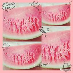 鹤壁吃瓜的地方,鹤壁特色“吃瓜”圣地大盘点