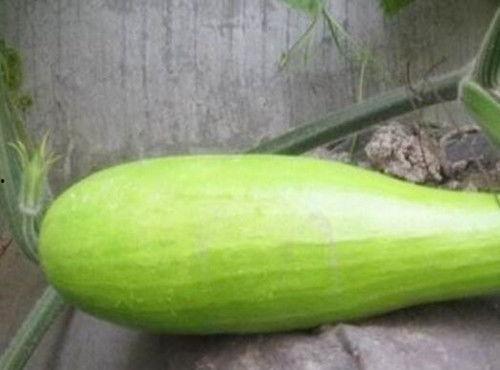 成熟砍瓜怎么吃,解锁美味新境界