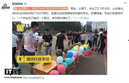 山东理工吃瓜群众,吃瓜群众热议校园新鲜事