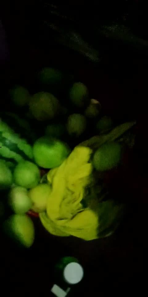 偷瓜吃瓜顺口溜,夏日清凉趣事