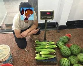 偷瓜吃瓜顺口溜,夏日清凉趣事