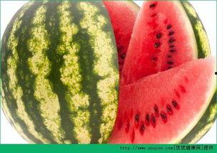 吃瓜爆料每日大瓜地址,吃瓜爆料每日大瓜最新地址，独家内幕一网打尽！